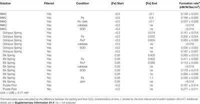 Controls on Reactive Oxygen Species Cycles in Yellowstone Hot Springs: Implications for Biosignature Preservation on Mars